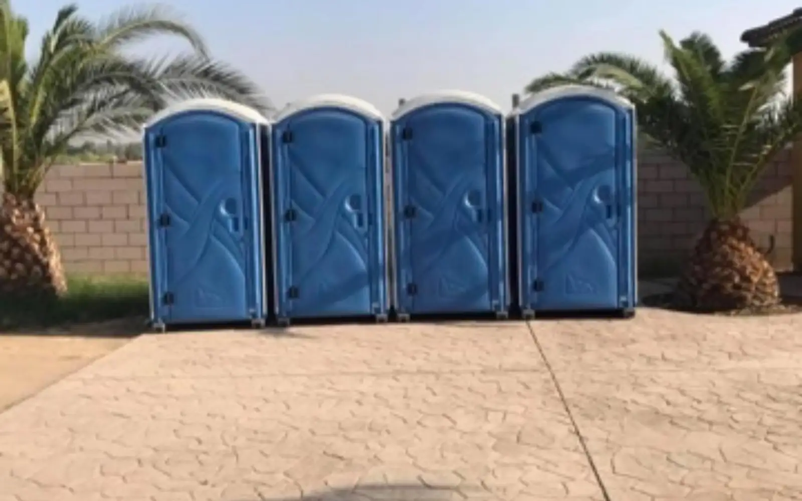 Four blue standard porta potties in a row on stamped concrete between palm trees
